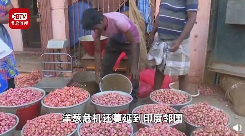 印度“洋蔥危機”加劇！價格上漲100倍 還危及鄰國