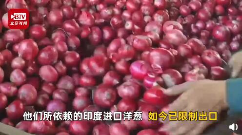 印度“洋蔥危機”加劇！價格上漲100倍 還危及鄰國