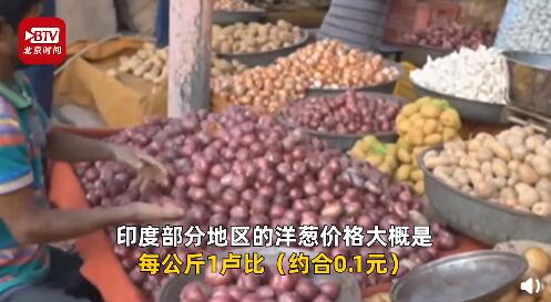 印度“洋蔥危機”加劇！價格上漲100倍 還危及鄰國